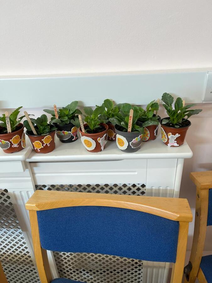 Plants we made at Messy Church